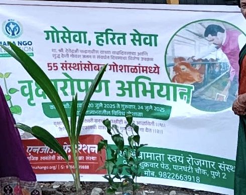 Tree Plantation